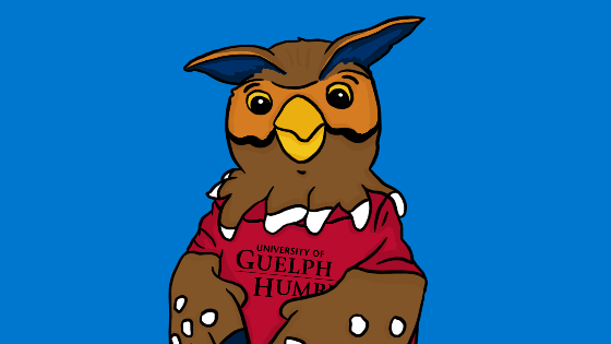A gif animation of UGH mascot Swoop with confetti
