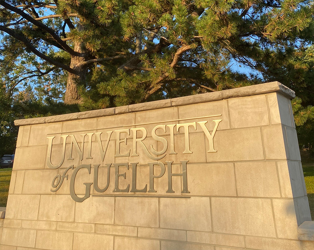 University of Guelph metal letters on a stone wall