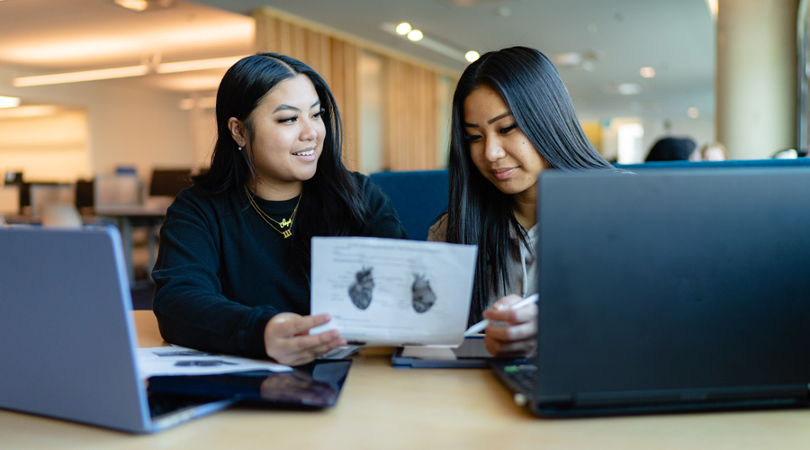 Two people studying while looking at the same notes with two laptops in front of them