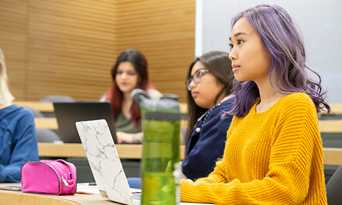 classroom Female with purple hair on laptop in class