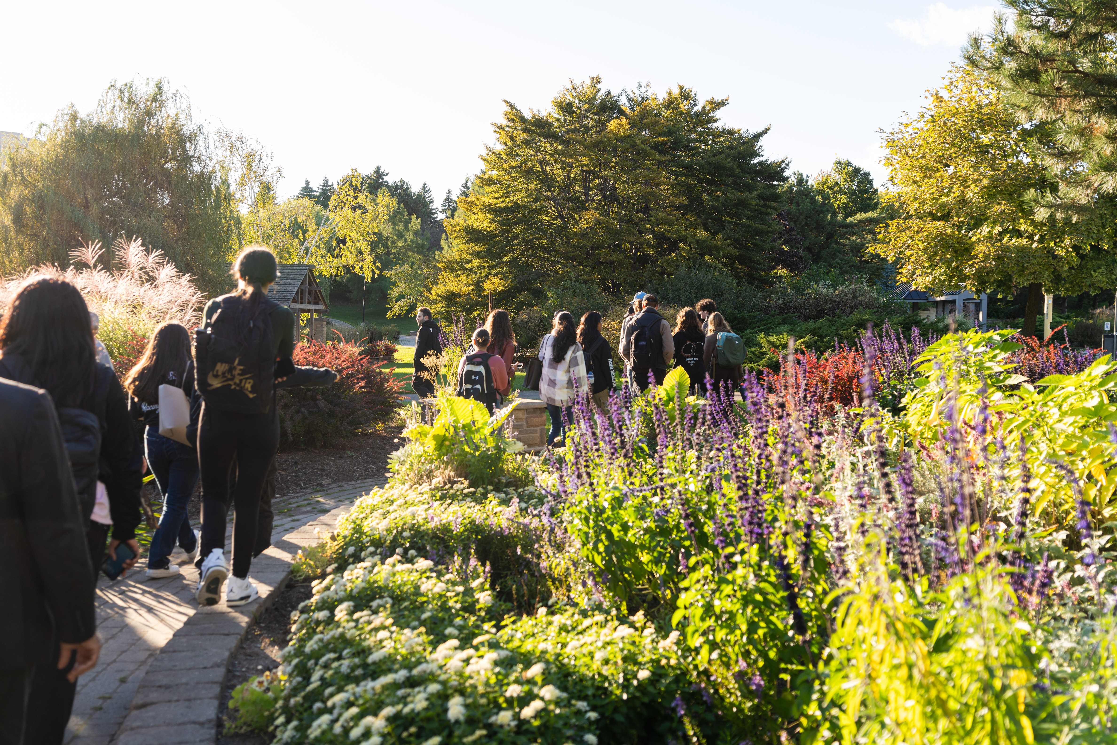 A group of students walking through the Humber Arboretum