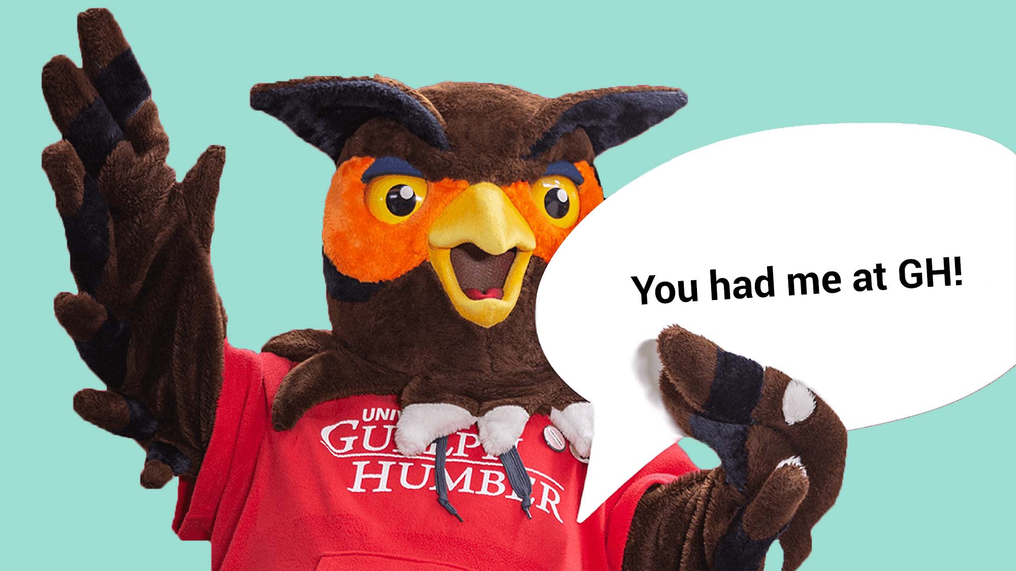 swoop with you had me at GH sign